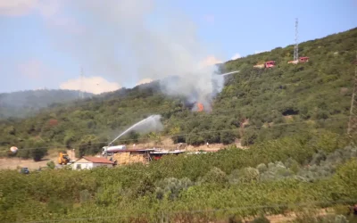 Kocaeli’de Ot Yangını Ormana Sıçradı, İtfaiye Kontrol Altına Aldı