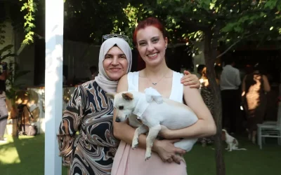 Kangal Köpekleri Şivava’ya Saldırdı: Kadın Yaralandı