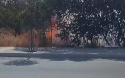 Silivri’de Tarla Yangını Kontrol Altına Alındı