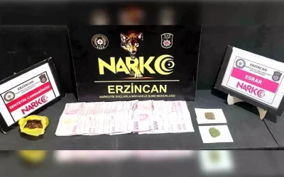 Erzincan’da Uyuşturucu Operasyonunda 1 Kişi Tutuklandı