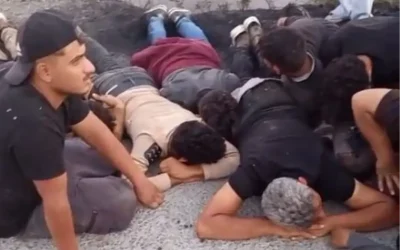 14 Kaçak Göçmen, Koyun Sürüsüne Çarpan Araçtan Kurtarıldı