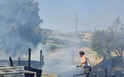 Manisa’da Ahır Yangını: 21 Koyun Can Verdi