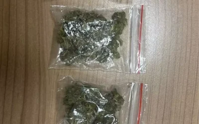 Van’da Uyuşturucu Operasyonunda 34 Kişi Yakalandı