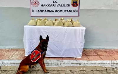 Hakkari’de 15 Kilo Esrar Operasyonu: Uyuşturucu Operasyonu Sonuçlandı