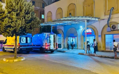 Eşekle seyahat eden adam araç çarpması sonucu yaralandı