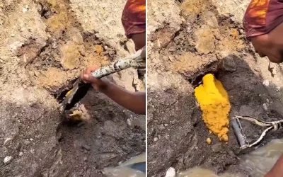 Kürek darbesiyle altın çıkan şanslı an!