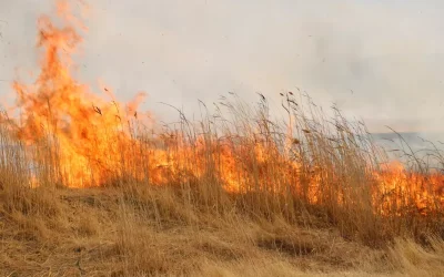 Hakkari Nehil Sazlığı’nda Yangın Kontrol Altına Alındı