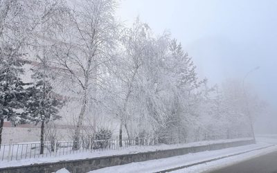 Doğu Anadolu’nda Soğuk Hava ve Sis Etkisi
