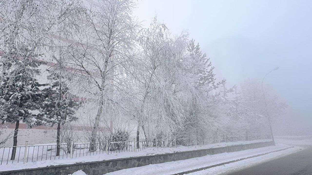 Doğu Anadolu'nda Soğuk Hava ve Sis Etkisi