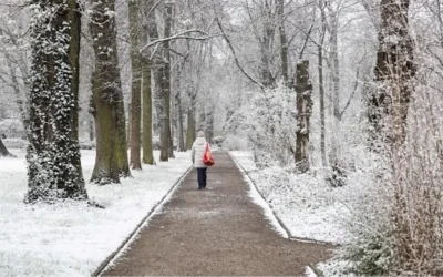 Almanya’da Kar ve Buzlanma Trafik Kazalarını Tetikledi