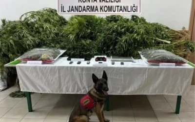 Av. Yusuf K. Çiftlik Çalışanlarına Hapis Cezası Almadı