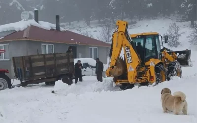 Ordu’da Kar Yağışı: Ekipler Yayla Yollarına Müdahale Etti