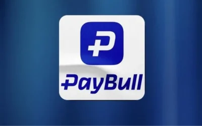 Paybull’a neden el konuldu ve ne olacak?