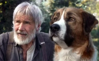 Köpek Vahşeti: Gerçek mi?