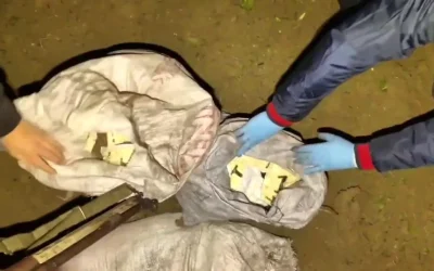 Hatay’da 625 Bin Uyuşturucu Hap Operasyonu