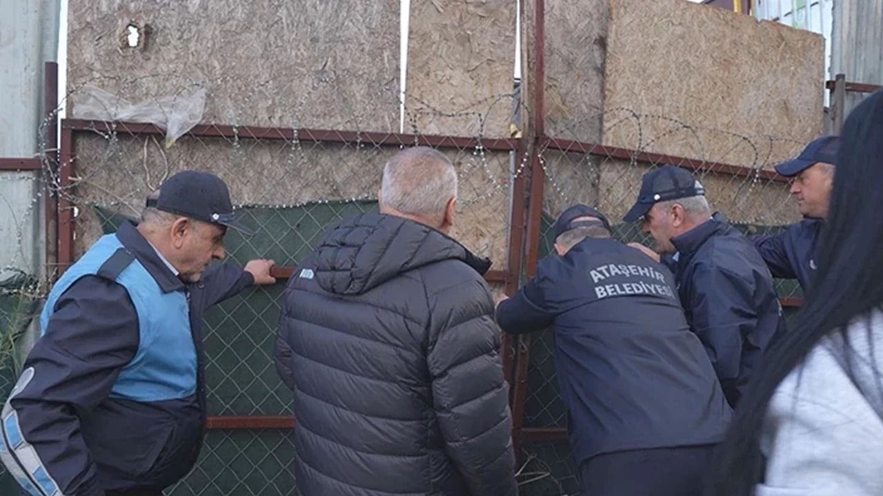 Ataşehir’de kaçak at kesimi iddiası 2 kişi gözaltında