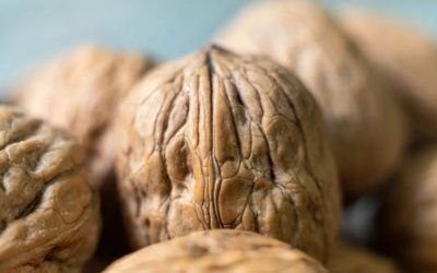 Balık Sevmeyenler İçin Omega-3 Kaynağı: Ceviz Pazarda İlgi Odağı Oldu!