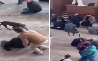 Cami Cemaatine Korku Dolu Anlar Yaşatan Pitbull Olayı Sonrası Sahibe İşlem