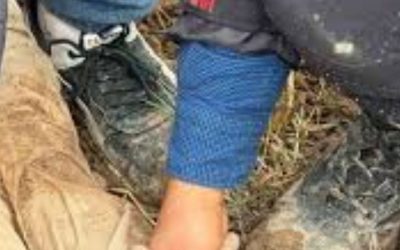 Dayısı tarafından dövülüp terk edilen çocuk kayaların altında bulundu.