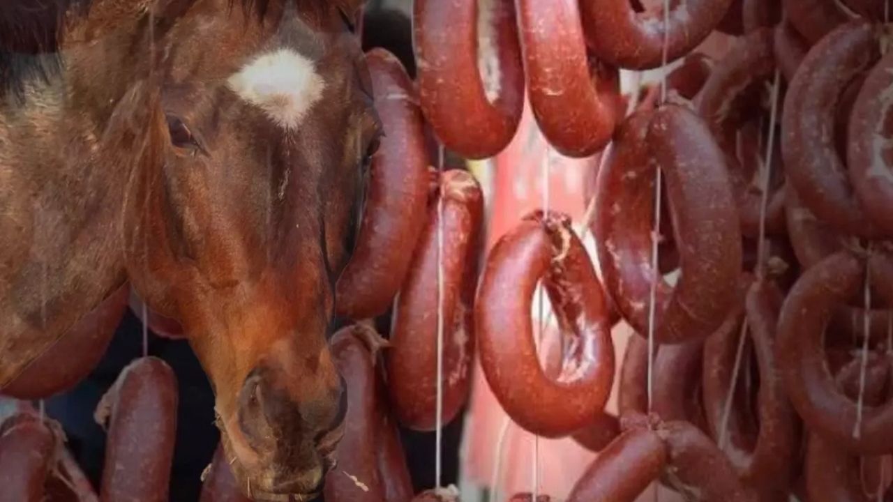 İzmir’de Sucukta Tek Tırnaklı Et Tespit Edildi (1)